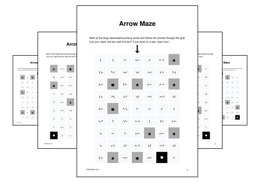 Arrow Maze