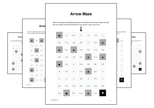 Arrow Maze