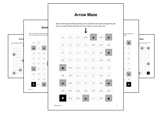 Arrow Maze