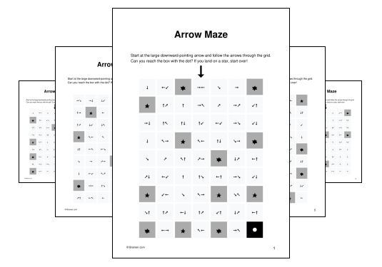 Arrow Maze