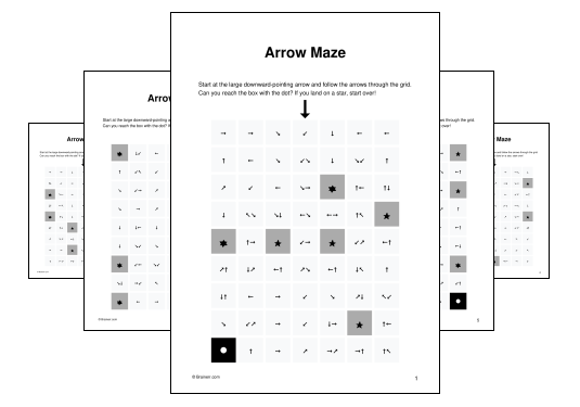 Arrow Maze