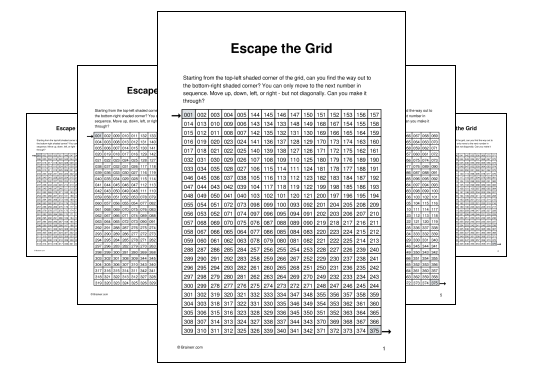 Escape the Grid